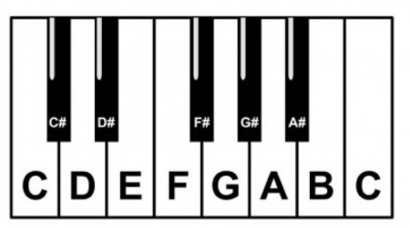 Intro To Music Theory For Guitarists