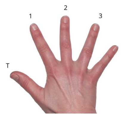 left-hand